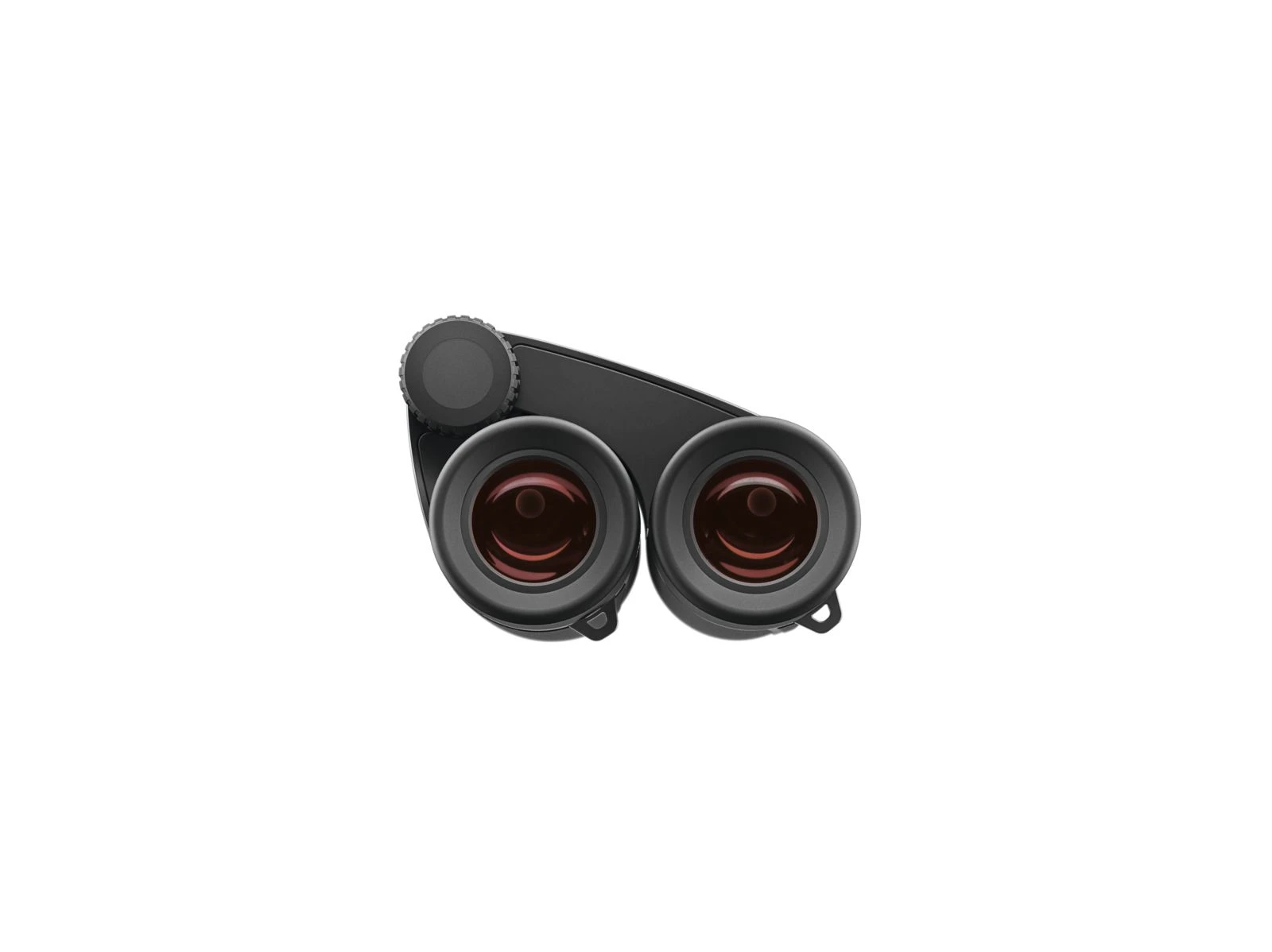 Binocular ZEISS Victory Pocket 10x25 - Imagen 3